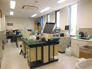 p-laboratory5